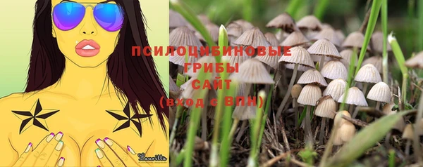 jwh Покров