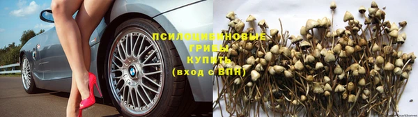 прущий лед Абаза